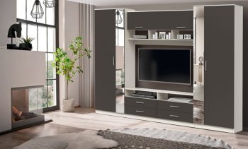 ШМЦ Вена  91.01 с зеркалом в Тогучине - mebel154.com