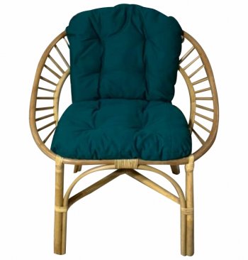 Кресло RJG-Princess (Ротанг №4, ткань JPN DRILL 034) в Тогучине - mebel154.com