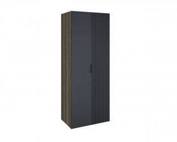 Шкаф 2-х Борнео ШК-173 в Тогучине - mebel154.com