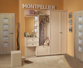 Шкаф для обуви 1 Montpellier в Тогучине - mebel154.com