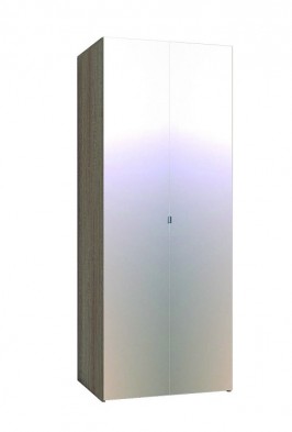 Шкаф для одежды 2-х дверный 35-3 WYSPAA в Тогучине - mebel154.com