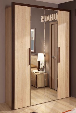 Шкаф для одежды 2-х дверный 9 Bauhaus в Тогучине - mebel154.com