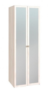 Шкаф для одежды 2-х дверный с зеркалом 54-2 Бриз в Тогучине - mebel154.com