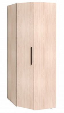 Шкаф для одежды угловой 12 Bauhaus в Тогучине - mebel154.com