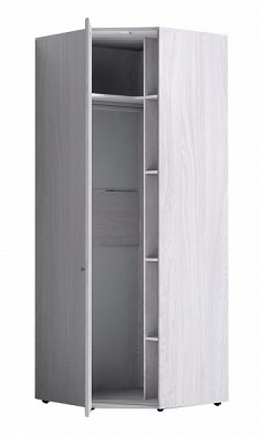 Шкаф для одежды угловой 56-2 Paola в Тогучине - mebel154.com