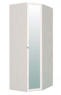 Шкаф для одежды угловой с зеркалом 56-2 Марсель в Тогучине - mebel154.com