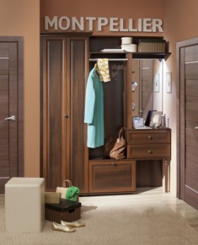 Шкаф для прихожей МЦН 2 Montpellier в Тогучине - mebel154.com